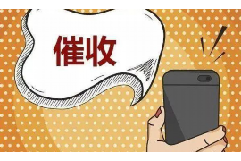 路南路南的要账公司在催收过程中的策略和技巧有哪些？